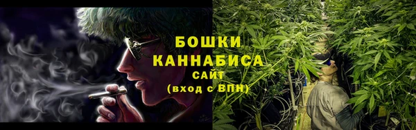 PSILOCYBIN Белокуриха